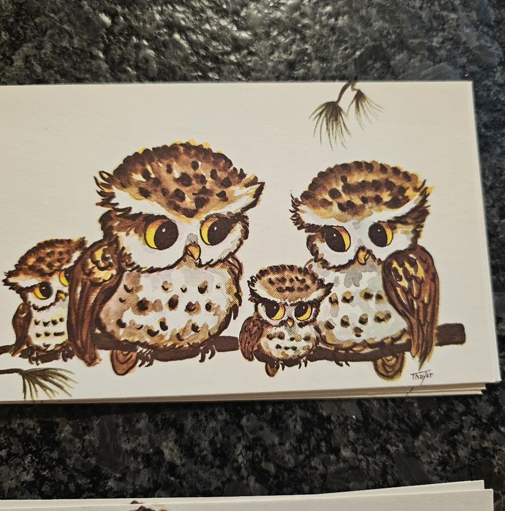 Vtg Thayer Kitschy Owls Big Eyes 16 Post Cards Picture Art 70's MCM Maine USA‎